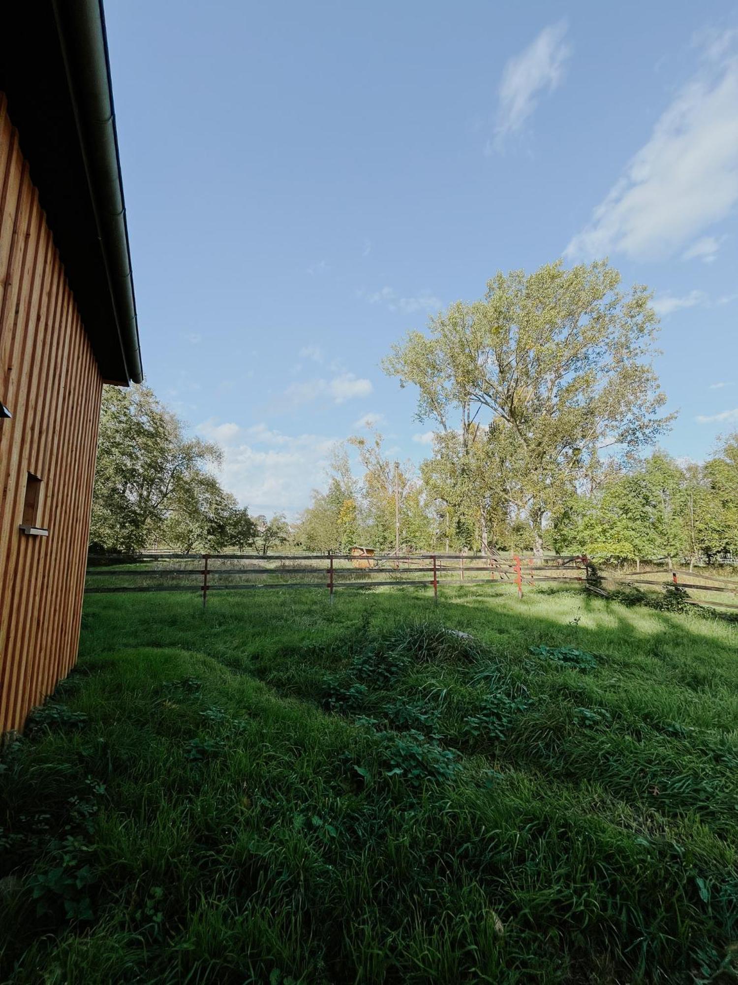 Willa Grange Alma Obernai Zewnętrze zdjęcie